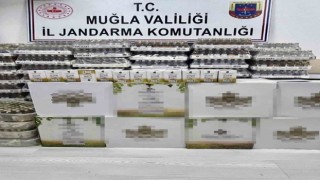 Ölüdenizde binlerce şişe kaçak alkol yakalandı