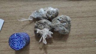 Orduda uyuşturucu operasyonunda 2 tutuklama