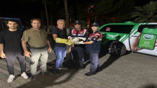 Orman yangınında yaralanan leylek emin ellerde