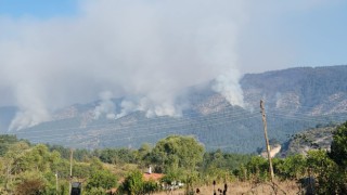 Orman yangınını söndürme çalışmaları 22 saattir sürüyor