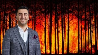 Orman Yangınlarıyla ilgili Soru Önergesi Verildi