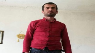 Ormana gidiyorum diye ailesini arayan şahıs ağaca asılı halde bulundu