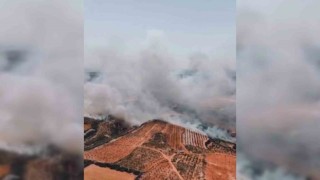 Ormanlık alana sıçrayan yangın havadan görüntülendi