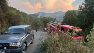 Ormanlık alanda çıkan yangın paniğe neden oldu
