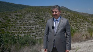 Osmaniye Valisi Yılmaz: "3042 Hektar Alan Yeşillendi"