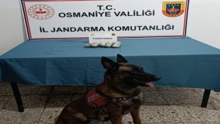 Osmaniyede jandarmadan tarihi eser ve uyuşturucu operasyonu