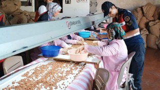 Osmaniye'de Kadına Şiddete Karşı Bilgilendirme Yapıldı