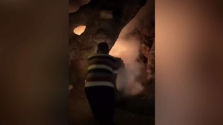 Osmaniyede tarihi çınar ağacı içten içe yandı