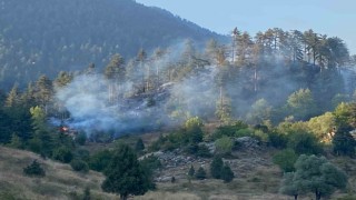 Osmaniye'deki orman yangını kontrol altına alındı