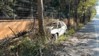 Otomobilin çarptığı ağaç üzerine devrildi, yangın çıktı: 1 yaralı