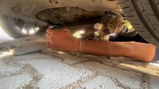 Otomobilin motoruna giren yavru kedi kurtarıldı