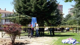 Parkta korku dolu anlar: Kendisini kamelyaya astı