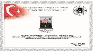 Pençe-Kilit Harekât bölgesinde Piyade Astsubay Çavuş Habip Murat Alp şehit oldu