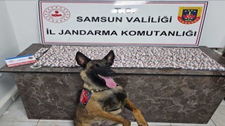 Polis ve jandarma suçluların ensesinde