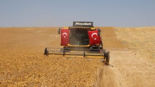 Safir bitkisiyle kuraklığın önüne geçilmesi hedefleniyor