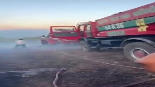 Sakaryada orman yangını
