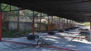 Salça zamanının yaklaşmasıyla Söğüt Belediyesi hazırlıklarını yaptı