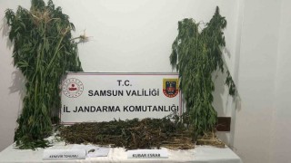Samsunda 6 kilo 550 gram kubar esrar ele geçirildi