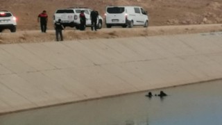 Şanlıurfada 16 yaşındaki çocuk sulama kanalında kayboldu