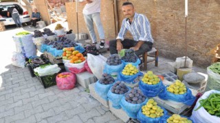 Sasonda hasadı başlayan incir tezgahlarda yerini aldı