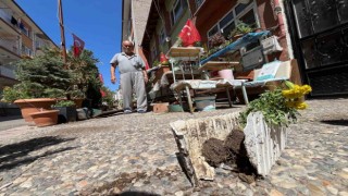Sevgililer ve Aşıklar Parkı talan edildi