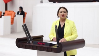 Şevkin; “Hükümet-şirket kavga etti, kaybeden 18 bin vatandaş oldu”