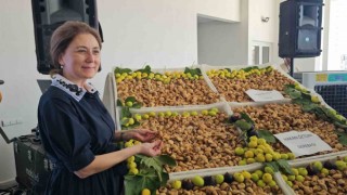 Sezonun ilk kuru inciri 600 TLden satıldı