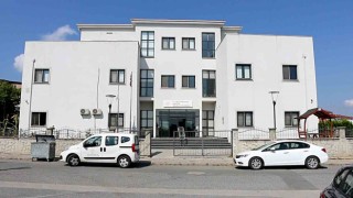 SHMler hastalıklara karşı kalkan oluyor