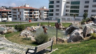 Sıcaktan bunalan çocuklar süs havuzuna girdi