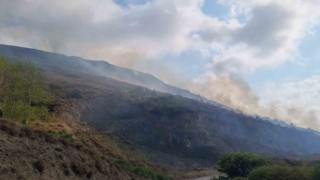 Sinopta örtü yangınında 5 hektar alan zarar gördü