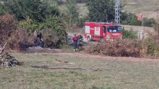 Sinopta otların yakılması paniğe neden oldu