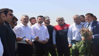 Şırnakta yerfıstığı üreticilerine teorik ve uygulamalı eğitim verildi