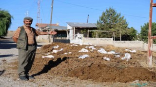 Sivas Belediyesine tezek tepkisi