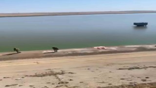 Siverek Çamurlu Barajında bir kadın cesedi bulundu