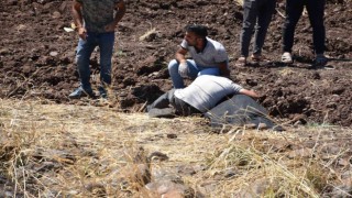 Siverekte otomobil şarampole devrildi: 1 ölü, 3 yaralı