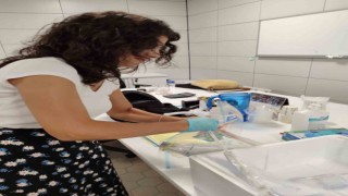 Sökede 1 ayda 266 ton balık ihraç edildi