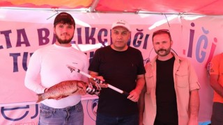 Sorgunda en büyük balığı yakalamak için kıyasıya yarıştılar