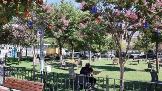 Sultangazi Belediyesi Habipler Sosyal Tesisi yenilendi