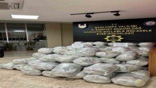 Şüpheli araçtan 461 kilo skunk maddesi çıktı