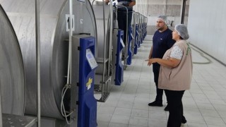 Süt ve süt ürünleri üreten işletmeler denetlendi