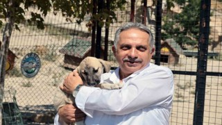 Talas Pati Evi takdir topluyor