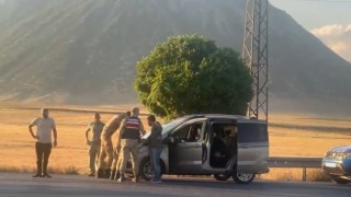 Tatvanda trafik kazası: 1 yaralı