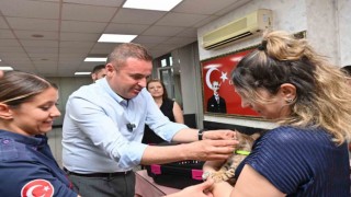 Tedavisi tamamlanan yavru kedi Biber sahibiyle buluştu