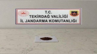 Tekirdağda uyuşturucu operasyonları