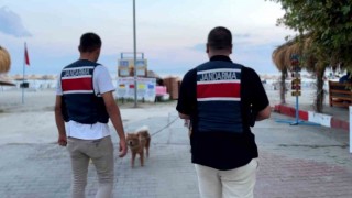 Tekirdağda Zıpkın-22 operasyonu