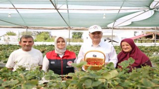 Topraksız tarım ile çilek üretiyor