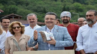 Trabzonda sahipsiz köpek sorunu çözülecek
