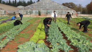 Türkiyenin en çok tercih edilen Ziraat Fakültesi AÜden