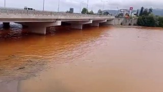 Türkülere konu olan Gelevera Deresindeki balık ölümleri korkutuyor