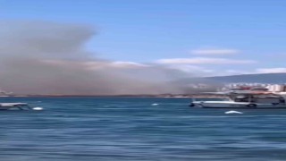 Tuzla Tersanesinin yanındaki ağaçlık alanda korkutan yangın